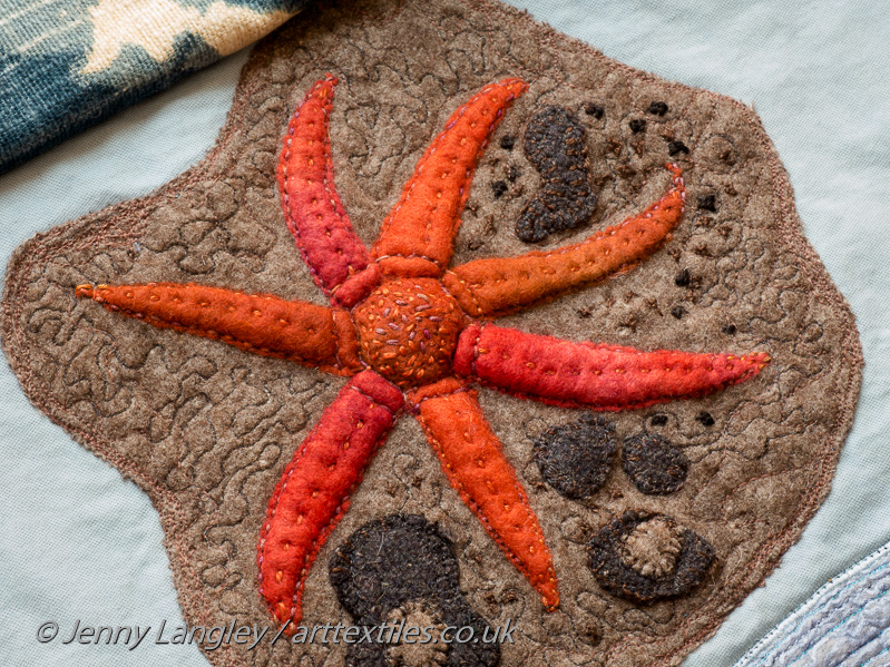 Seven armed starfish - a recent discovery and the first starfish to live on a hydrothermal vent.