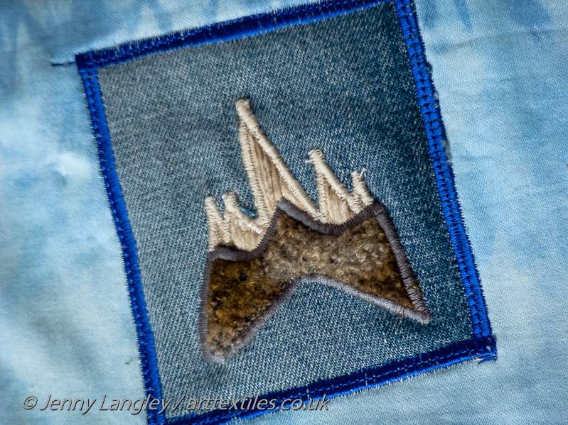 Fossilised shark's teeth are found in great numbers around the Kent coast.