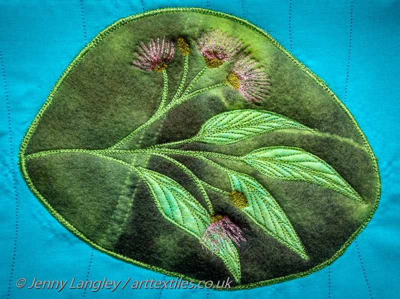 Gum tree leaves and flowers from Australia.