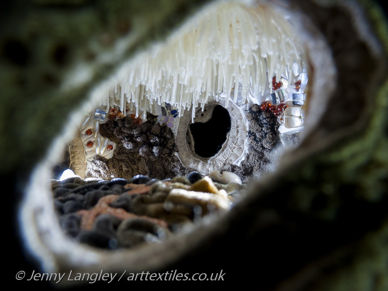 Peering into the grotto with a torch to reveal its stalactites,crystals and clinker covered walls.